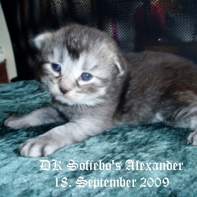 DK Sofiebo's Alexander
